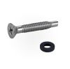 Pentair | 619355 | Stainless Steel Pilot Screw with Washer