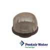 172855 | Pentair FNS DE and Nautilus Plus DE Filter Manifold Air Vent