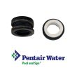 17351-0101S | Pentair  Shaft Seal 3/4-inch