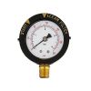 Pentair | 190058 | Pressure Gauge Replacement with Indicator Bottom