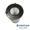 25021-0202S | Pentair Sta-Rite System 3  Small Cartridge