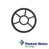 G-400 | 272409 | Pentair  HiFlow 2"  Diverter Seal
