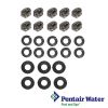 400030Z | Pentair IntelliFloXF Pumps O-Ring and Hardware Kit