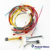 461107 | Pentair MasterTemp Max-E-Therm  Wire Harness - 120/240V