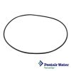 521507 | Pentair O-Ring Chemical Container Lid 5 Pack