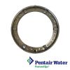 79110600 | Pentair Amerlite  Face Ring Assembly with Screw