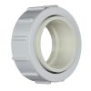Pentair | PKG188 | 2in Half Union Adapter for Pool Pump and Heater | 42001-0402