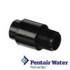 R172248 | Pentair Rainbow Chlorine  Check valve 1/2"