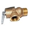 Raypak 008091F Pressure Relief Valve for 207A Low Nox Heaters 