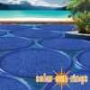 SSRA-100 | Solar Sun Ring Cover Palm Tree Design