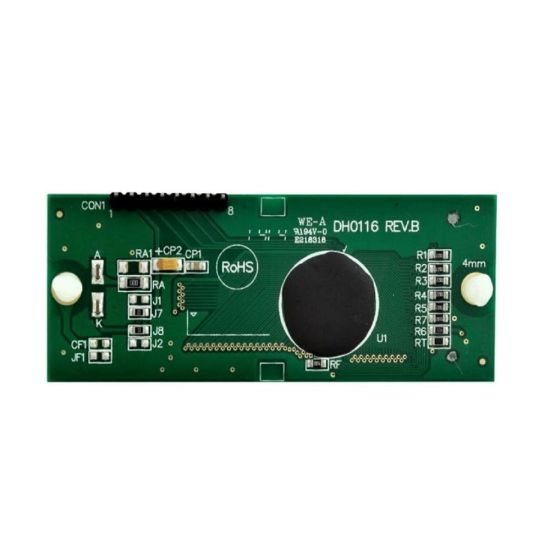 Raypak | 013640F | LCD Display Pool Stat Kit