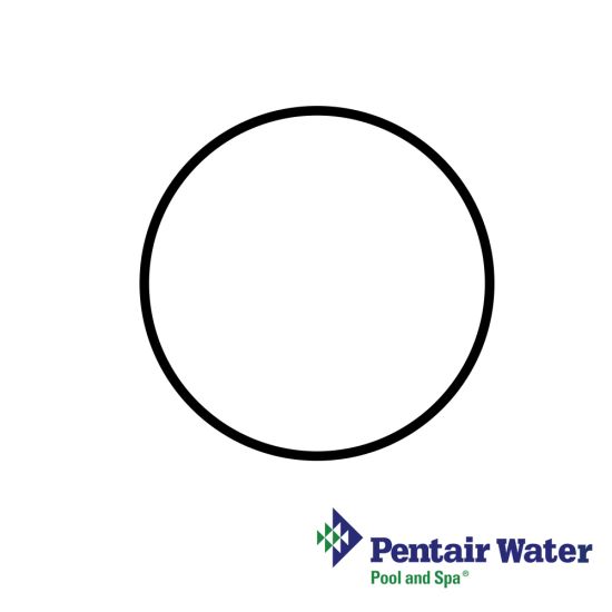 356780 | Pentair EQ Series Seal Plate O-Ring