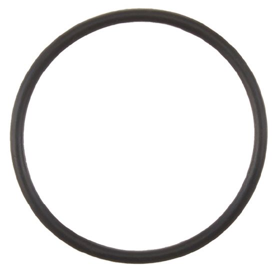 Polaris 9-100-5132 O-Ring for Feed Pipe Assembly for 380 Cleaners