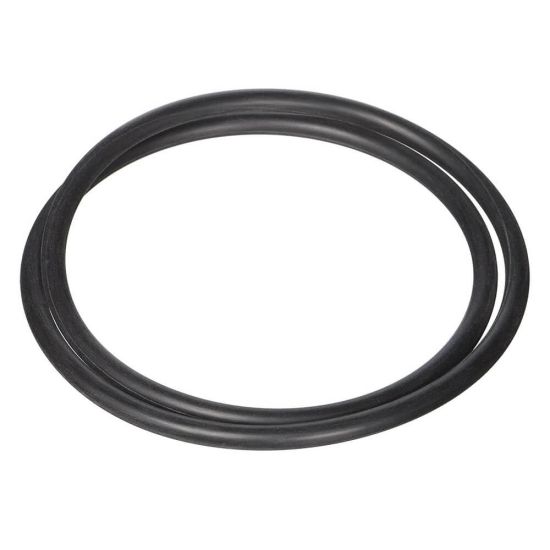 Hayward | SPX4000T | Seal Plate O-Ring, NorthStar Pump | O-239