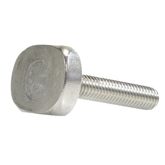 Pentair 24850-0010 Clamp T Bolt for System 3 Sand Filter