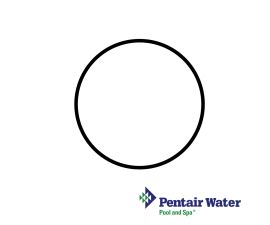 356780 | Pentair EQ Series Seal Plate O-Ring
