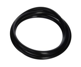 Pentair 39010200 Tank O-Ring for FNS Filter or O-497 