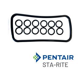 77707-0120 | Pentair Sta-Rite Heater Manifold O-Ring  Kit