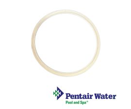 78880200 | Pentair AquaLumin  Silicone Lens Seal