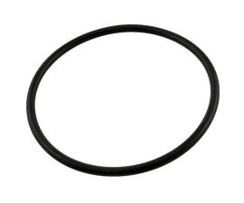 Aladdin | O-244 | Filter Handle O-Ring, Crystal Water DE Filters | 805-0233 | R0449200