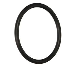Hayward | SX220Z2 | Large Bulkhead O-Ring for Pro Grid and SwimClear Filters