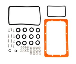 Jandy | R0589500 | Seals and Gasket Kit for JXI Manifold