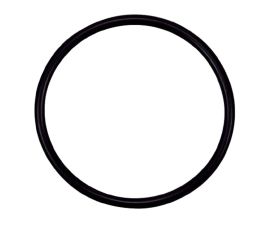 Pentair 355330 Flange O-Ring for Tagelus Sand Filters