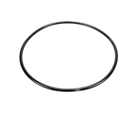 Pentair 87300400 Body O-Ring For Clean & Clear Filters or O-343 