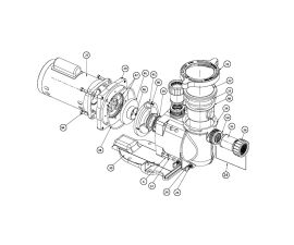 SuperFlo 2HP 230V Pump Parts | 340044
