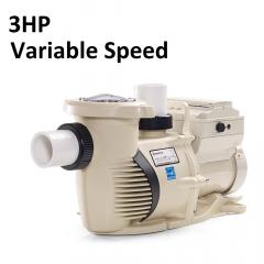 IntelliFlo VSF 3HP 230V Pump | 011056 