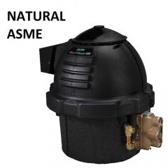 Natural Gas ( ASME ) Heater Parts