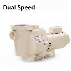 Dual Speed Pump Parts